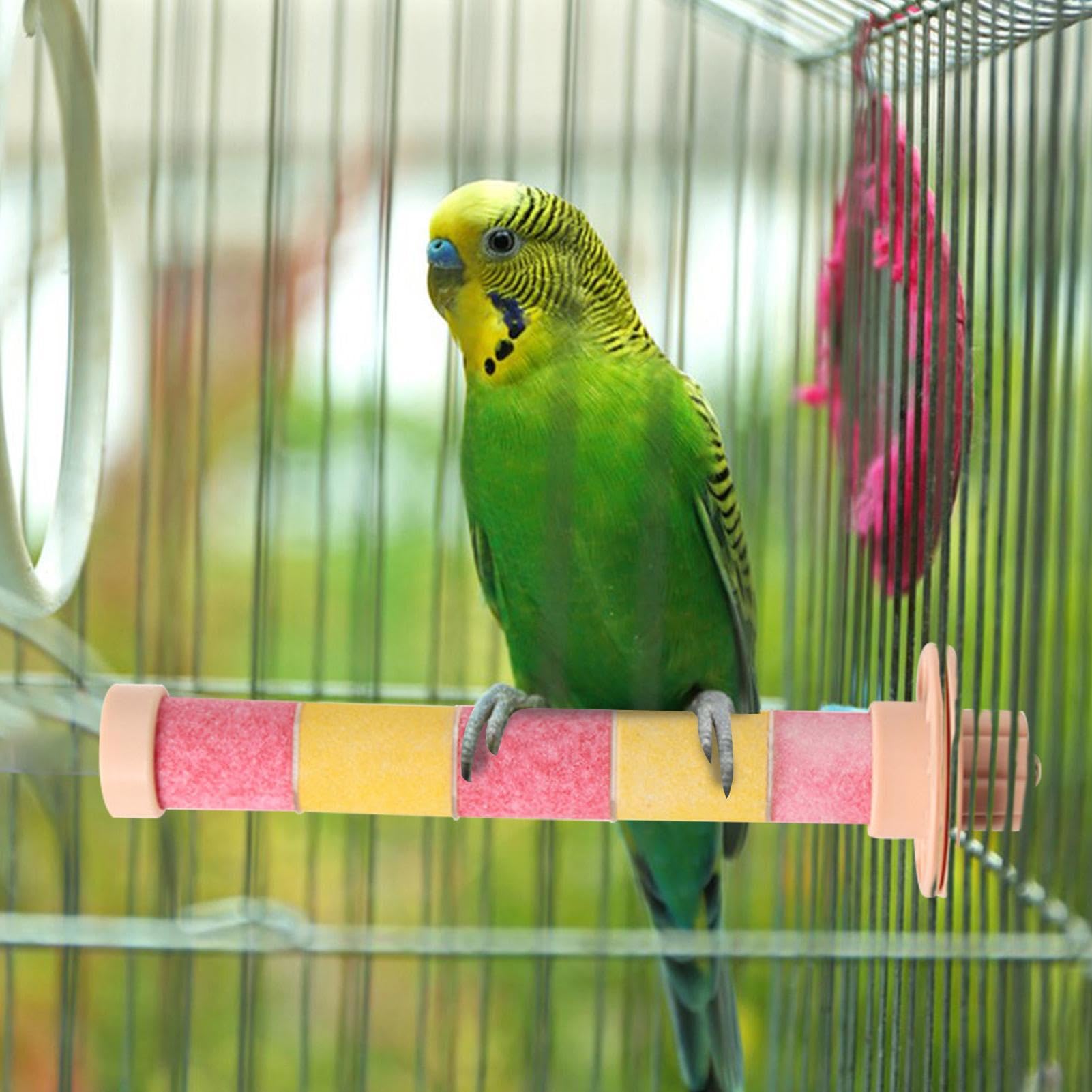 Amazon.co.jp: 鳥スタンドおもちゃ - フロストケージ研削